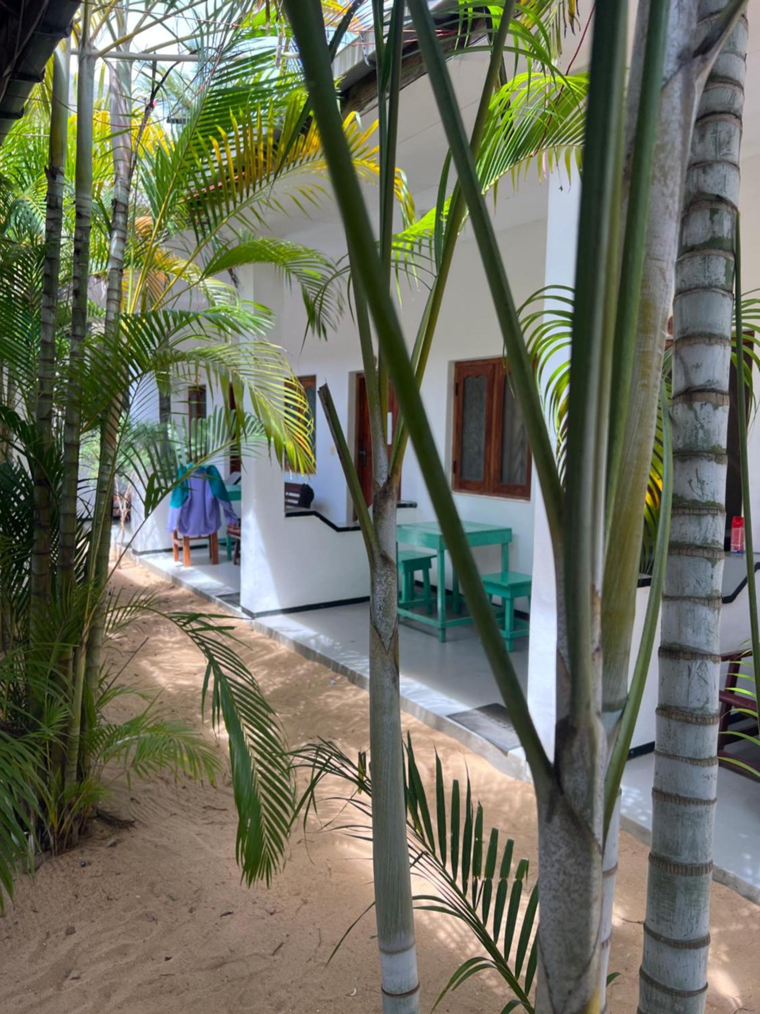 Moxy Bay Arugambay Hotel Arugam Bay Kültér fotó
