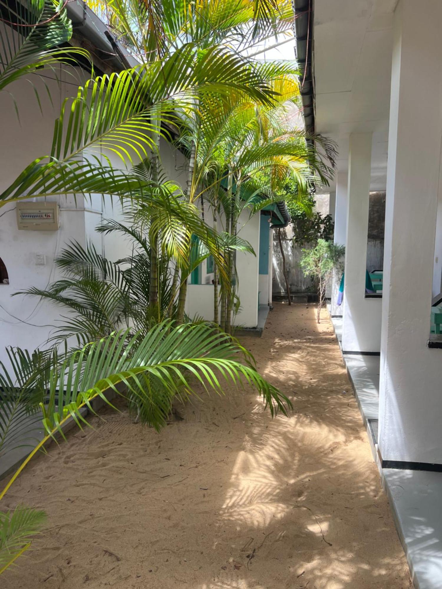 Moxy Bay Arugambay Hotel Arugam Bay Kültér fotó