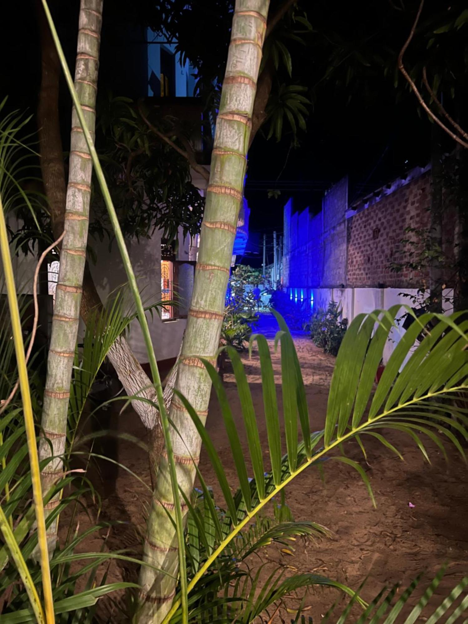 Moxy Bay Arugambay Hotel Arugam Bay Kültér fotó