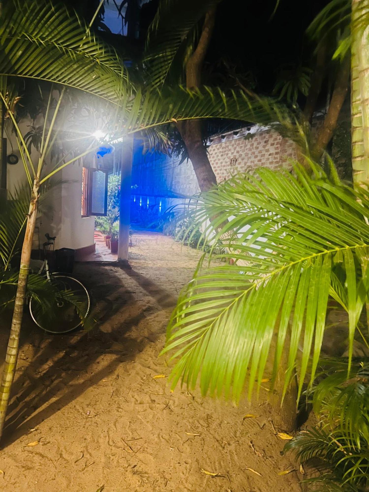 Moxy Bay Arugambay Hotel Arugam Bay Kültér fotó