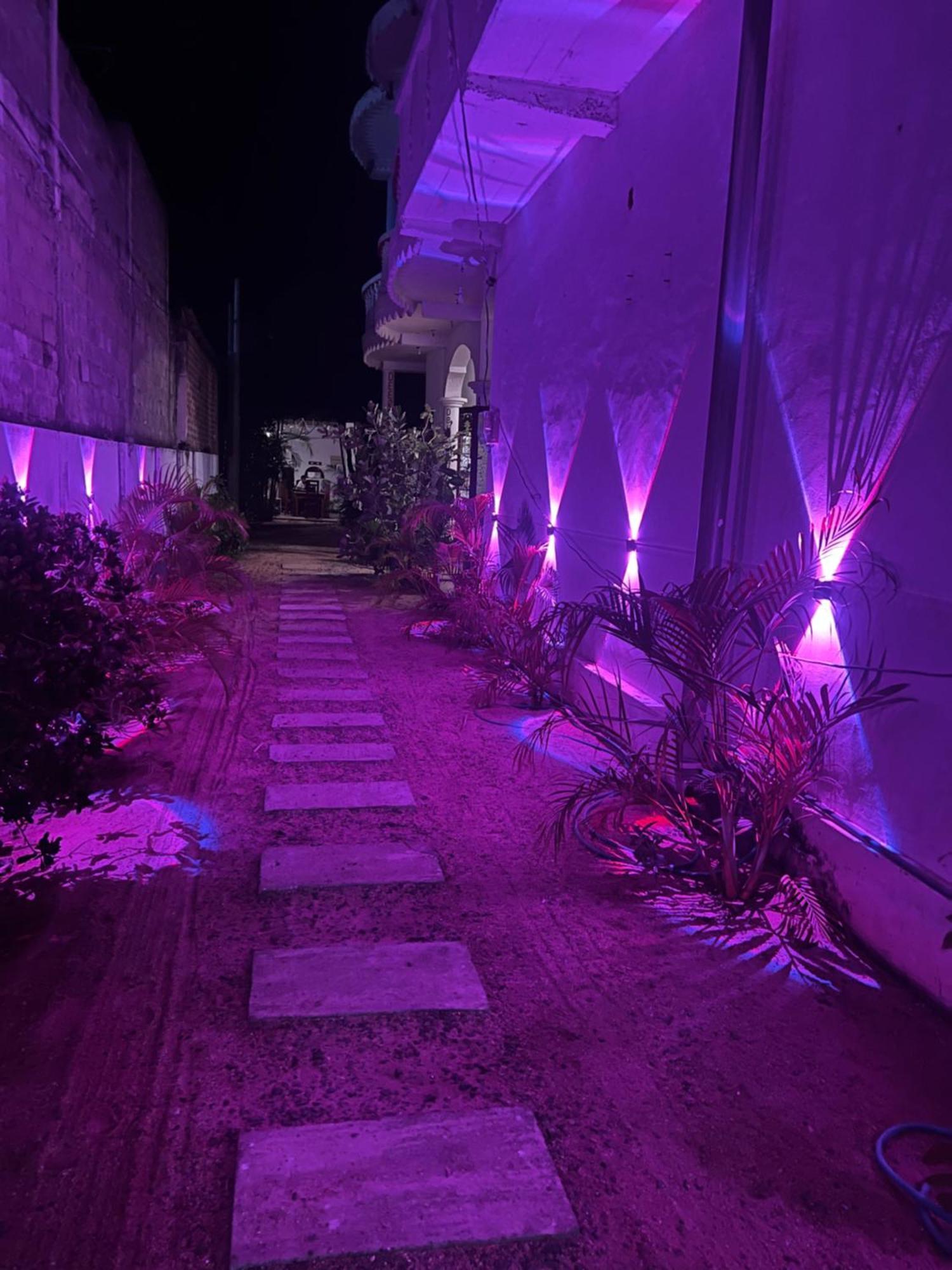 Moxy Bay Arugambay Hotel Arugam Bay Kültér fotó